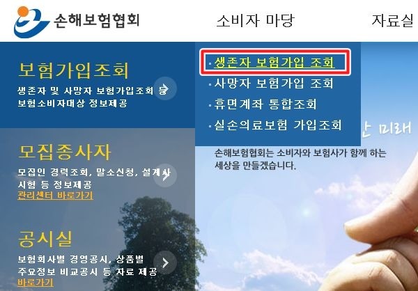 차량보험조회