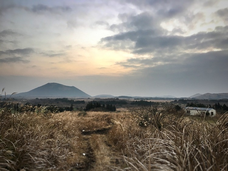 해 없는 해돋이