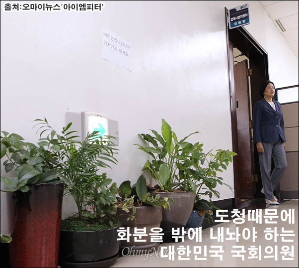 수의원 이미지